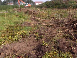 Klik voor een vergroting